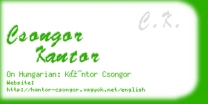 csongor kantor business card